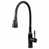 Brand new 👍 Transolid Kitchen/Laundry Faucet With Dual Spray And Flex Neck, Matte Black 😍