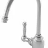 Top 10 ⌛ Newport Brass 107H Nadya Single Handle Hot Water Dispenser - Polished Chrome 🌟